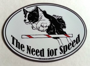The Need for Speed