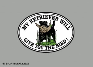 Slideshow Image - Black Lab