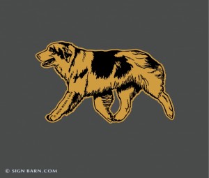 black and gold