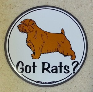 got rats?