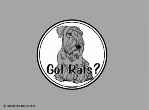 got rats?