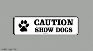 decal or magnet