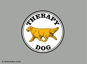 Therapy Dog