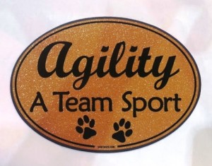 decal or magnet