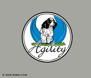 decal or magnet