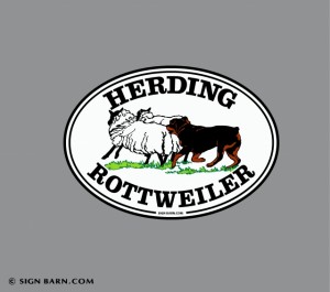 oval decal or magnet