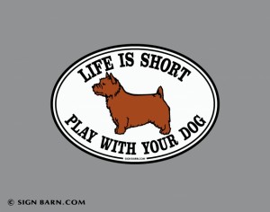 decal or magnet