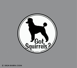 decal or magnet
