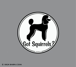 decal or magnet