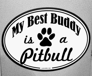 decal or magnet