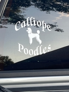 photo-album_Calliope-Poodles_2022-12-07_92435.jpeg - Thumb Gallery Image of Photo Album
