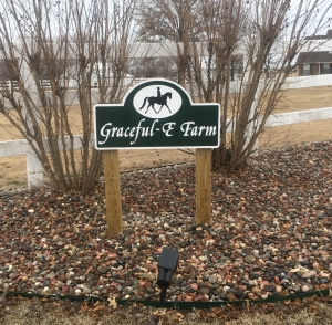photo-album_Graceful-E-Farm_2022-12-07_190756.jpg - Thumb Gallery Image of Photo Album