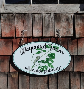 photo-album_Wayward-Farm_2022-12-07_190815.jpg - Thumb Gallery Image of Photo Album
