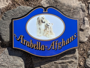 photo-album_custom-afghan-sign_2022-12-07_92628.jpg - Thumb Gallery Image of Photo Album
