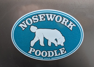 Decal or magnet